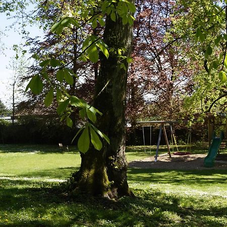 Schloss Puchberg Wels Exteriör bild